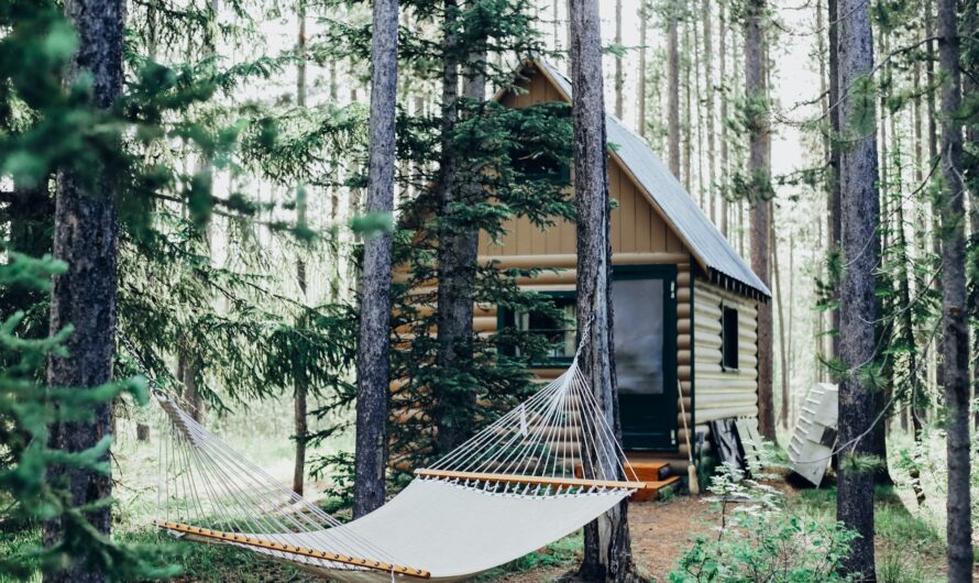 Off the grid in your cabin or cottage – 6 areas to master for marvelous lake living