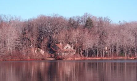 A serene view of michigan cottage country with a cozy cabin by the lake