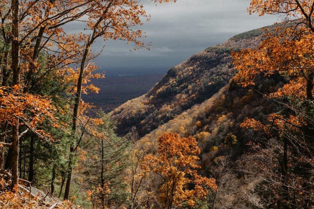 Catskill camping cabin in the mountains, shandaken, ny, usa