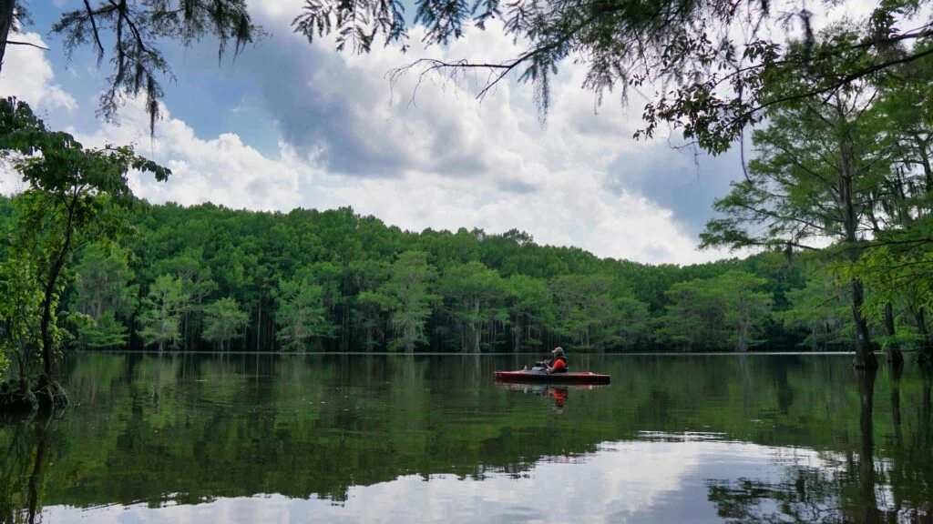Caddo lake