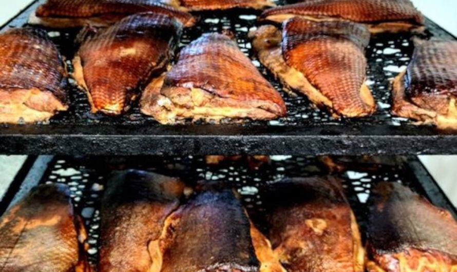 How to smoke fish – easy 6 step guide and best recipes