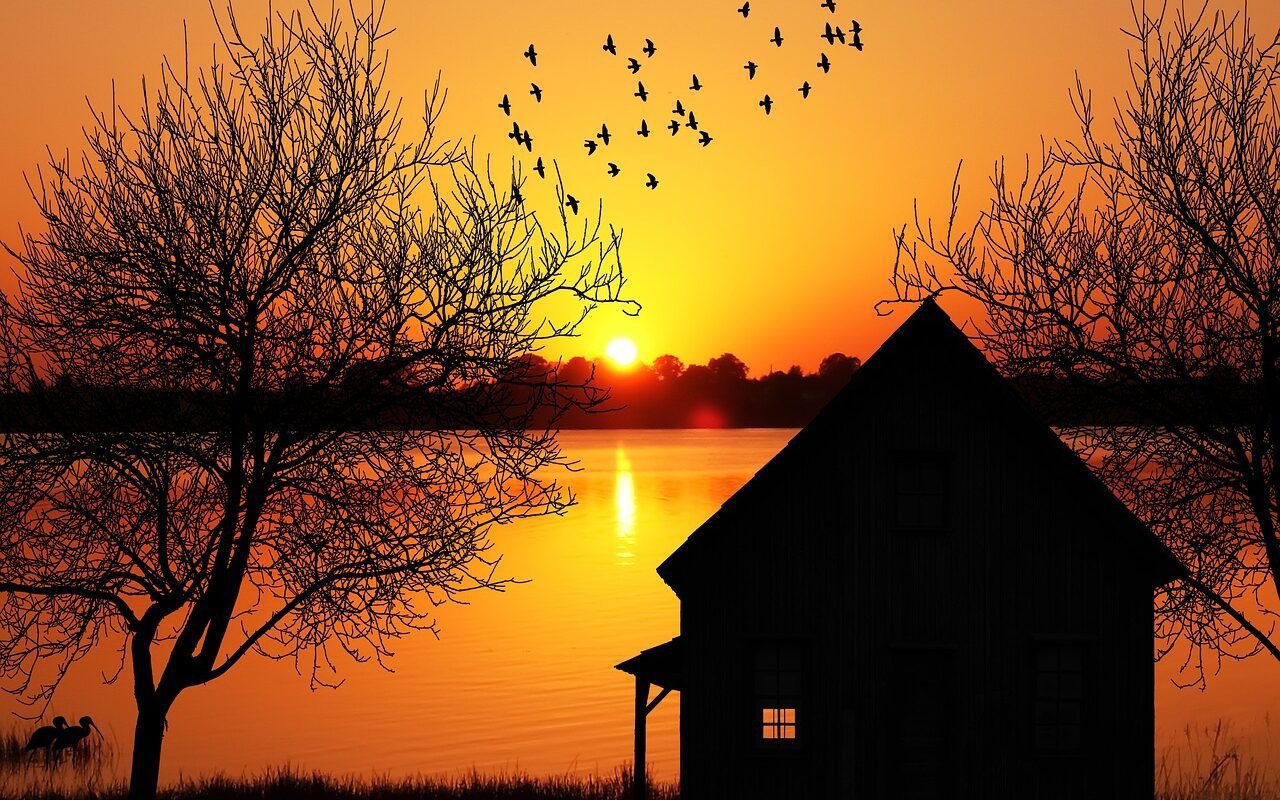Cabin by the lake