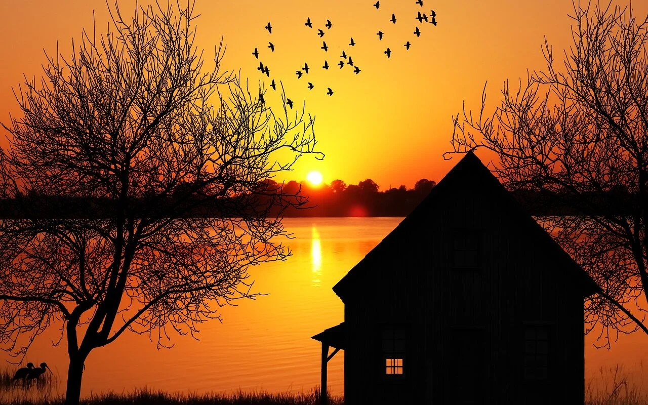 Cabin by the lake