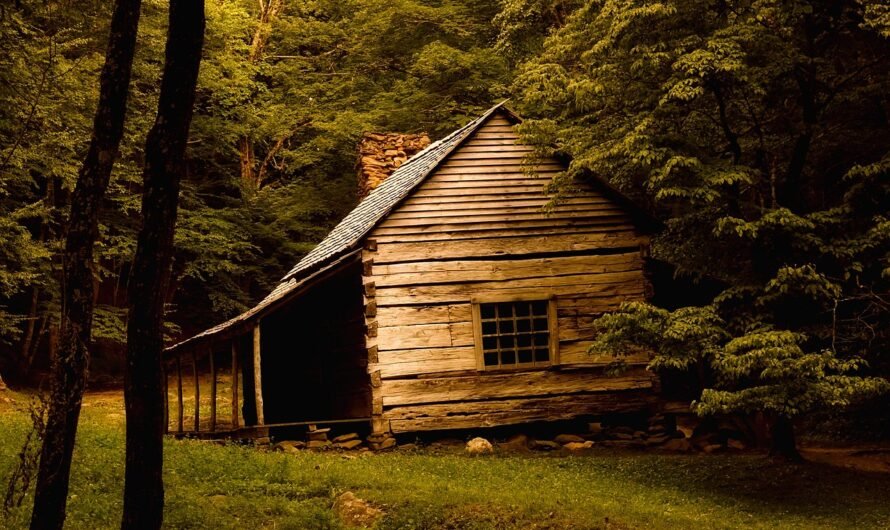 A step-by-step guide to restoring a log cabin – plus 7 helpful videos