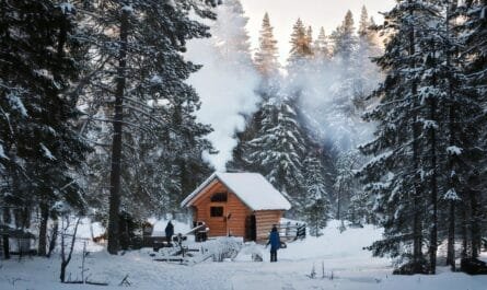 Firefly a scenic off grid cabin nestled among snowy trees smoke rising gently from the chimney. A f