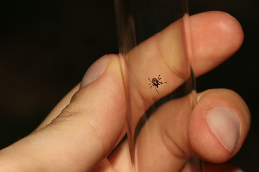 Tick on hand