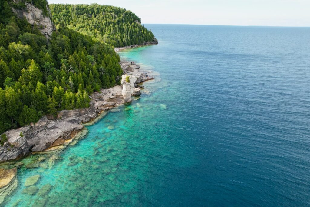 Clear blue water meets green coastline